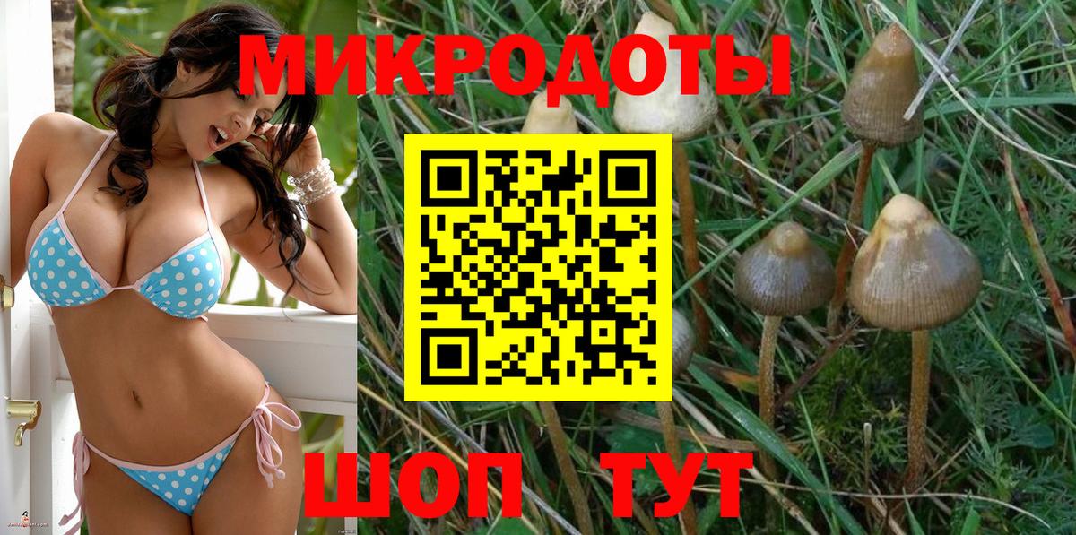 Псилоцибиновые грибы Magic Shrooms  Вход с VPN  Гай 