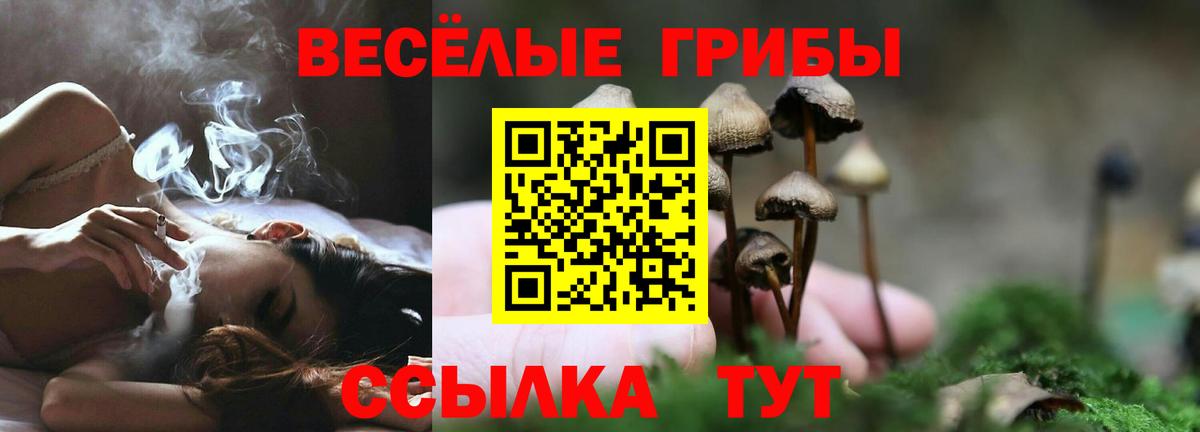 Псилоцибиновые грибы ЛСД Гай